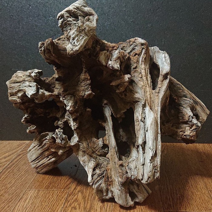 流木ギャラリー