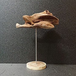 ｢healing drift wood｣癒しの流木