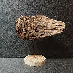 ｢healing drift wood｣癒しの流木